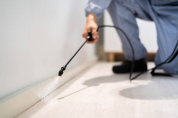 Licensed Bed Bug Control service in Wyoming County County, WV - Nex Pest Control