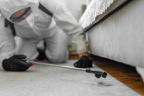 Professional Bed Bug Control technician working in Wyoming County County, WV